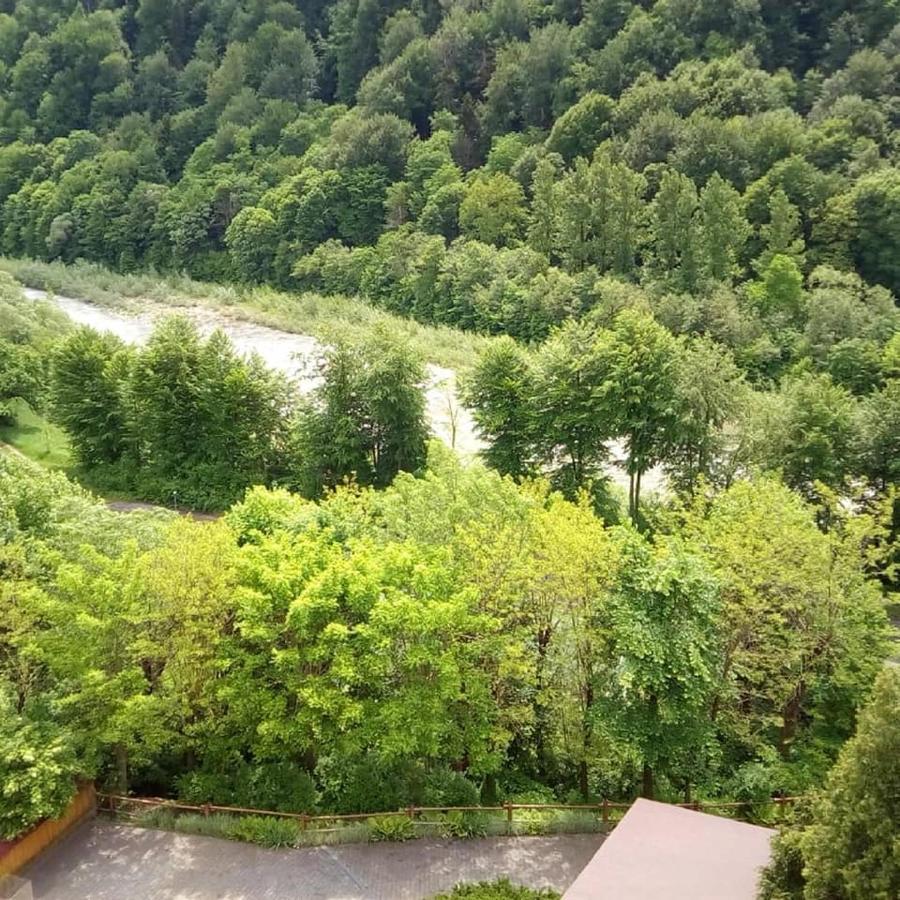 Malyvo Hotel Dilyatyn Dış mekan fotoğraf